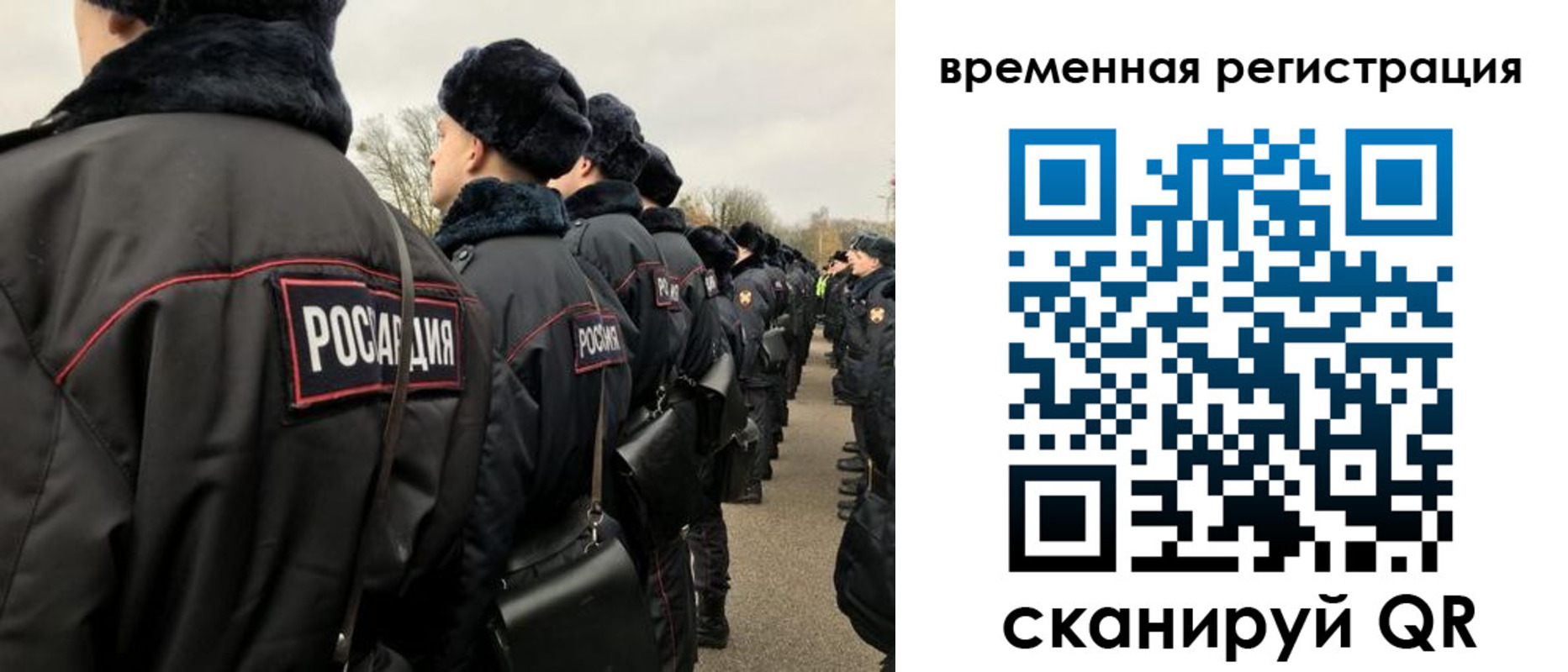 прописка гарантия в Черноголовке